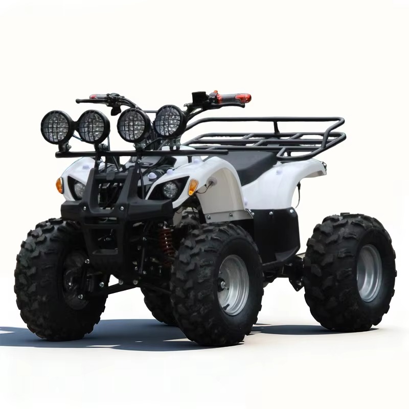 750W 48V Kids Electric ATV Qua - Kids Outdoor Electric Quad ulasan dan harga