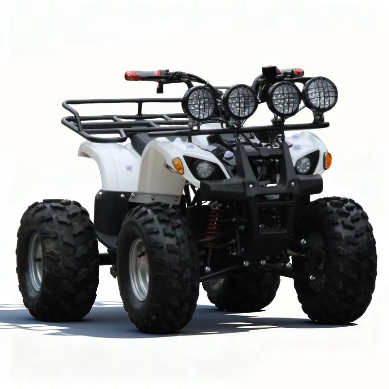 750W 48V Kids Electric ATV Qua - Kids Outdoor Electric Quad ulasan dan harga