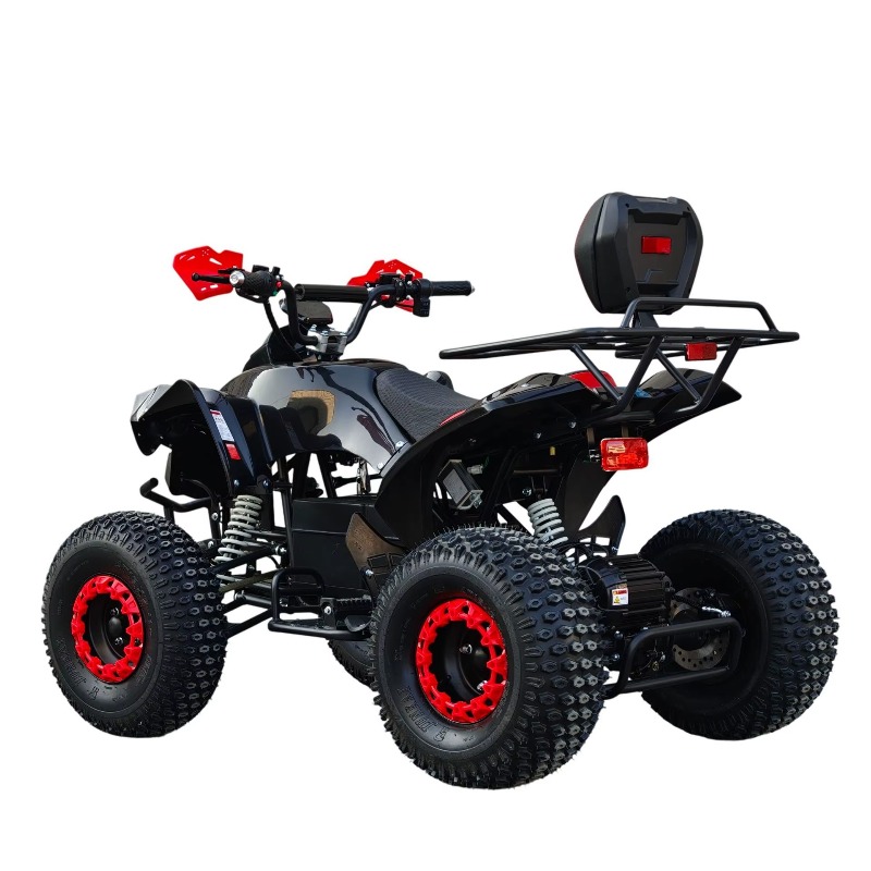 Electric Shaft Drive ATV Quad  - Kids Outdoor Electric Quad ulasan dan harga