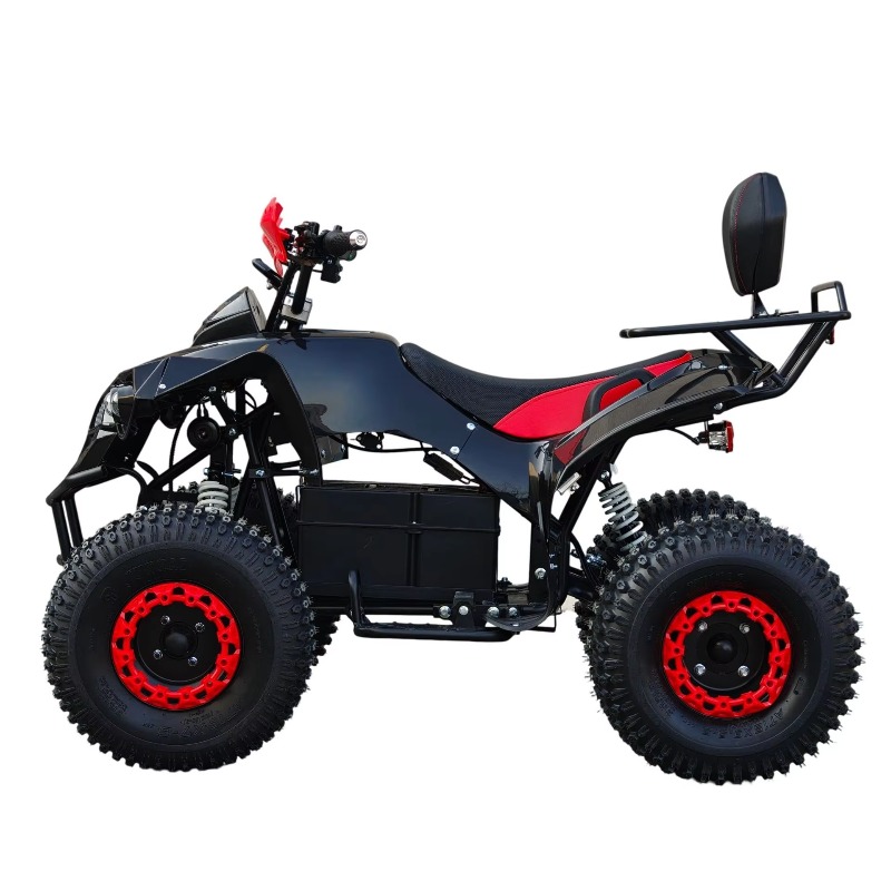Electric Shaft Drive ATV Quad  - Kids Outdoor Electric Quad ulasan dan harga