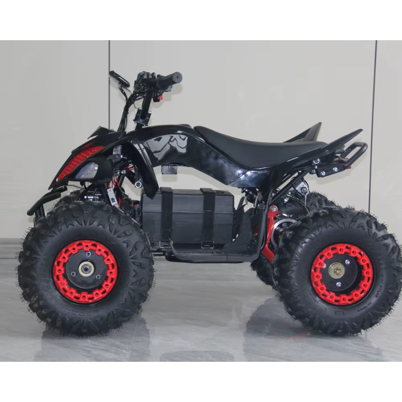 48V 1000W Electric Kids ATV 4  - Kids Outdoor Electric Quad ulasan dan harga