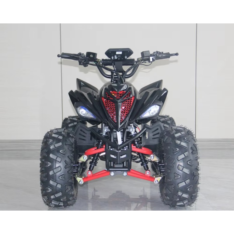 48V 1000W Electric Kids ATV 4  - Kids Outdoor Electric Quad ulasan dan harga