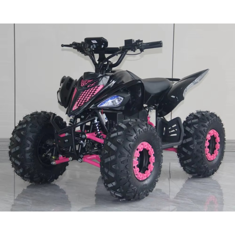 48V 1000W Electric Kids ATV 4  - Kids Outdoor Electric Quad ulasan dan harga